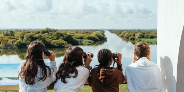 L'éducation à l'environnement à La Maison du Lac de Grand-Lieu