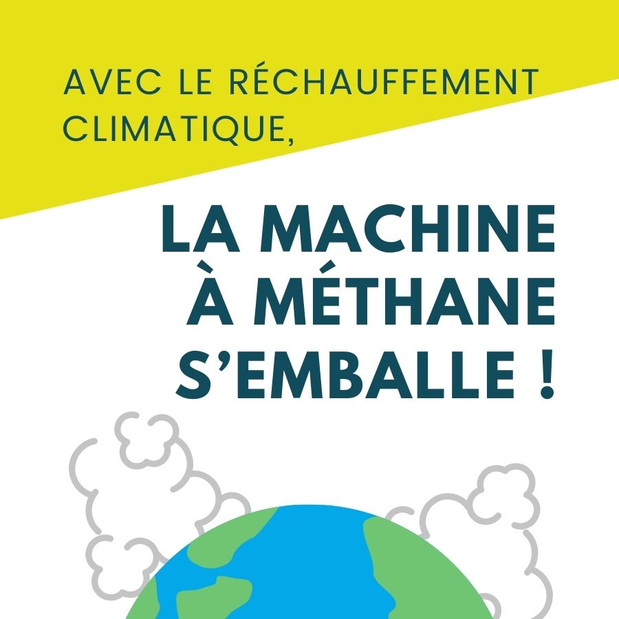 L'effet du réchauffement climatique sur les zones humides