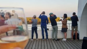 Observation du lac de Grand-Lieu sur la terrasse du Pavillon