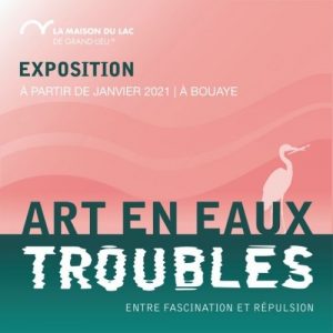 Newsletter janvier 2021 - art en eaux troubles