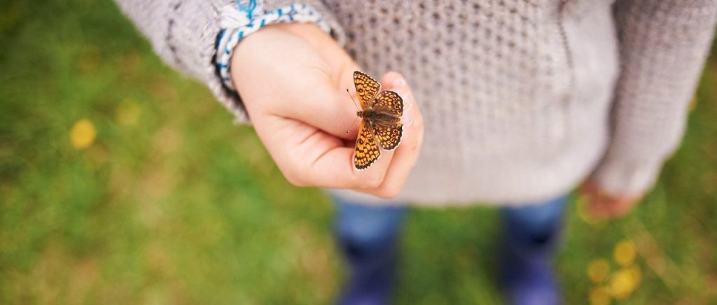 Papillon main enfant observation