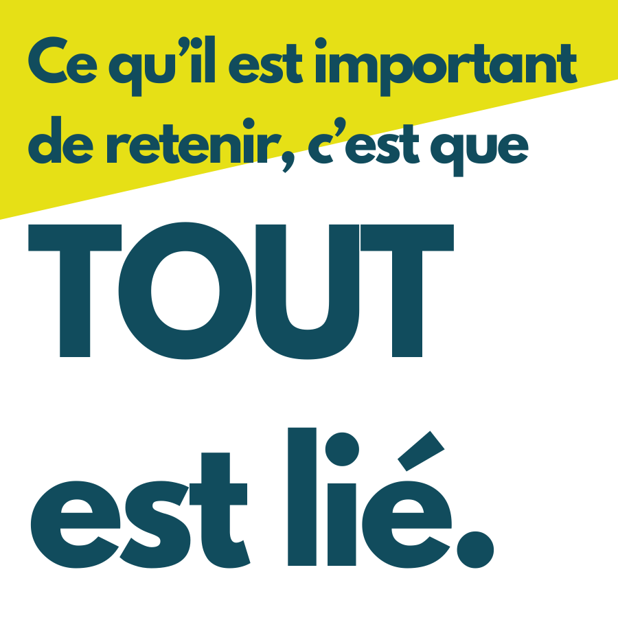 "Ce qu'il est important de retenir, c'est que tout est lié."