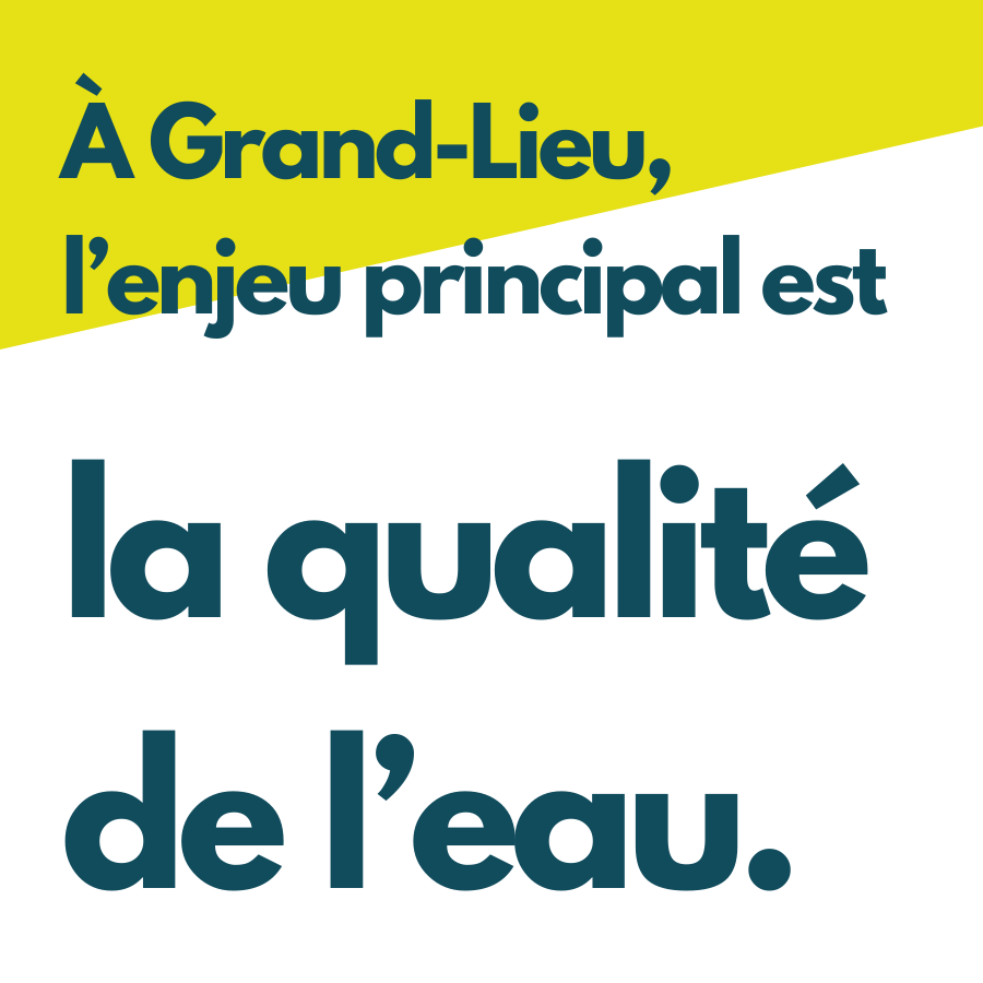 A Grand-Lieu, l'enjeu principal est la qualité de l'eau