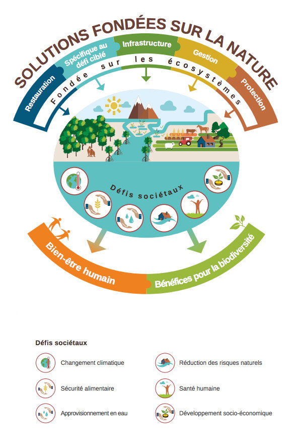 Les bénéfices des Solutions fondées sur la Nature © IUCN