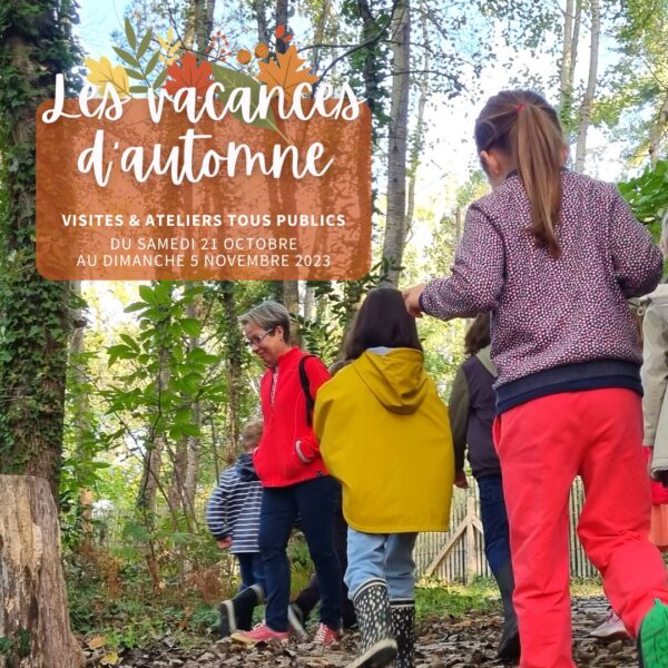 Sorties familles et ateliers enfants des vacances d'automne à La Maison du Lac de Grand-Lieu