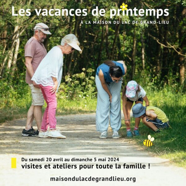 Le programme des sorties familles et enfants pour les vacances de printemps à La Maison du Lac de Grand-Lieu