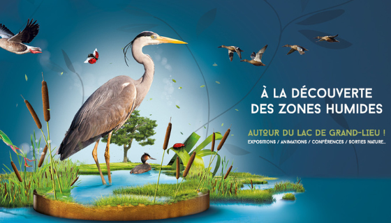 Journée mondiale des zones humides 2025