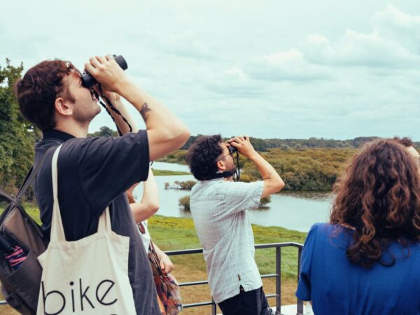 Observation des oiseaux de Grand-Lieu depuis la terrasse du Pavillon