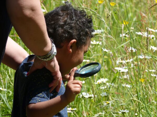Enfant qui regarde une fleur avec une loupe